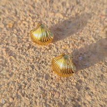 Load image into Gallery viewer, Shell Earrings Set